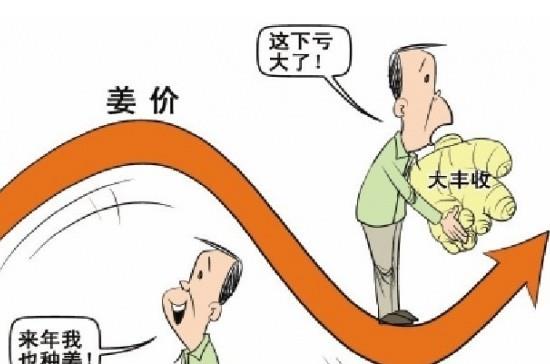 “姜你军”跌的最狠 是咋回事呢？